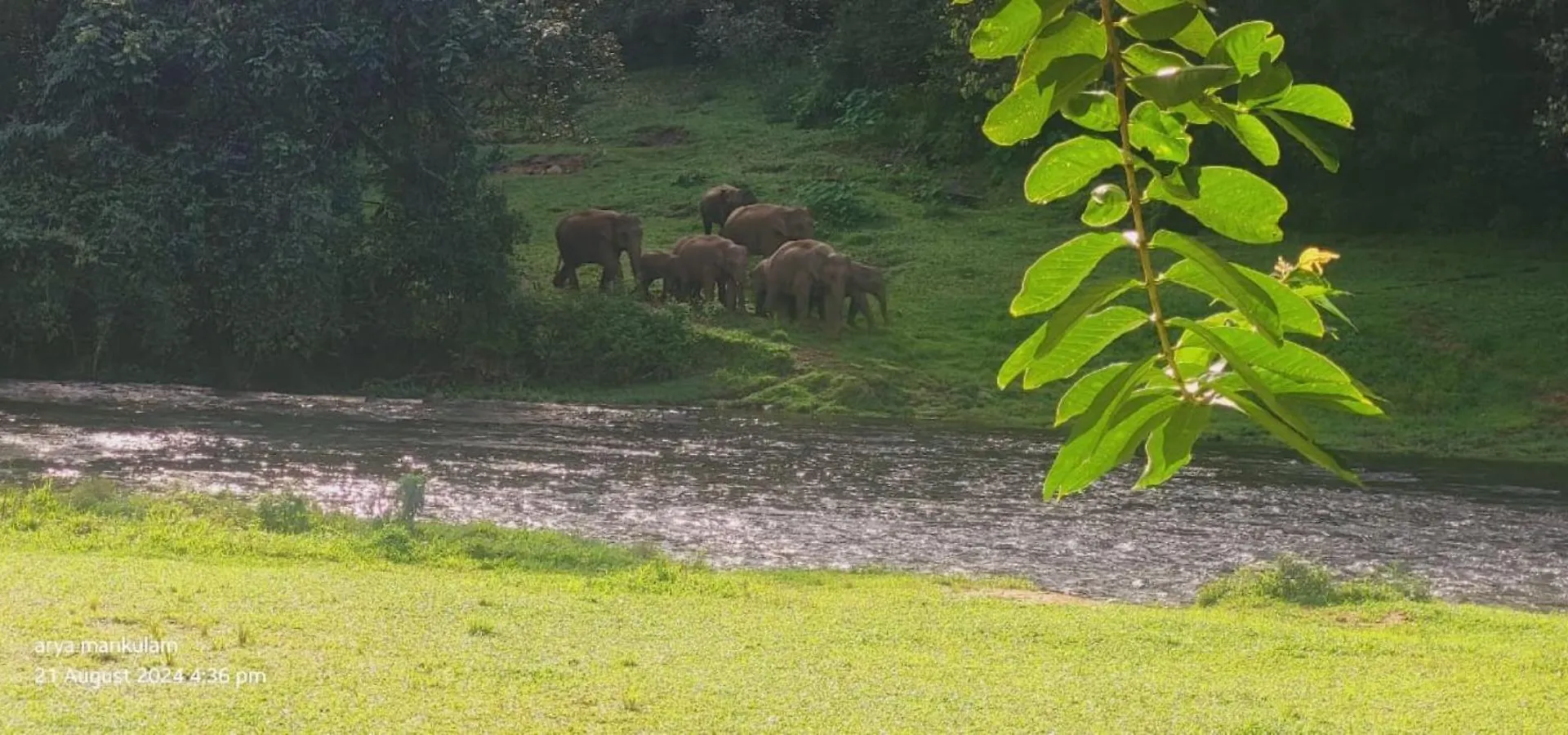Forestscape Resort Munnar