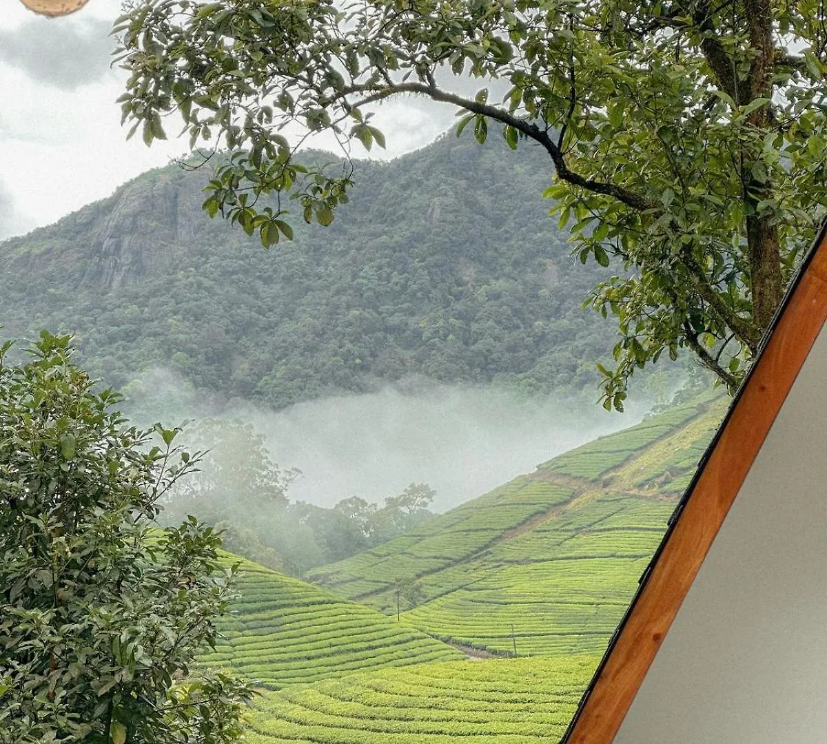 Forestscape Resort Munnar