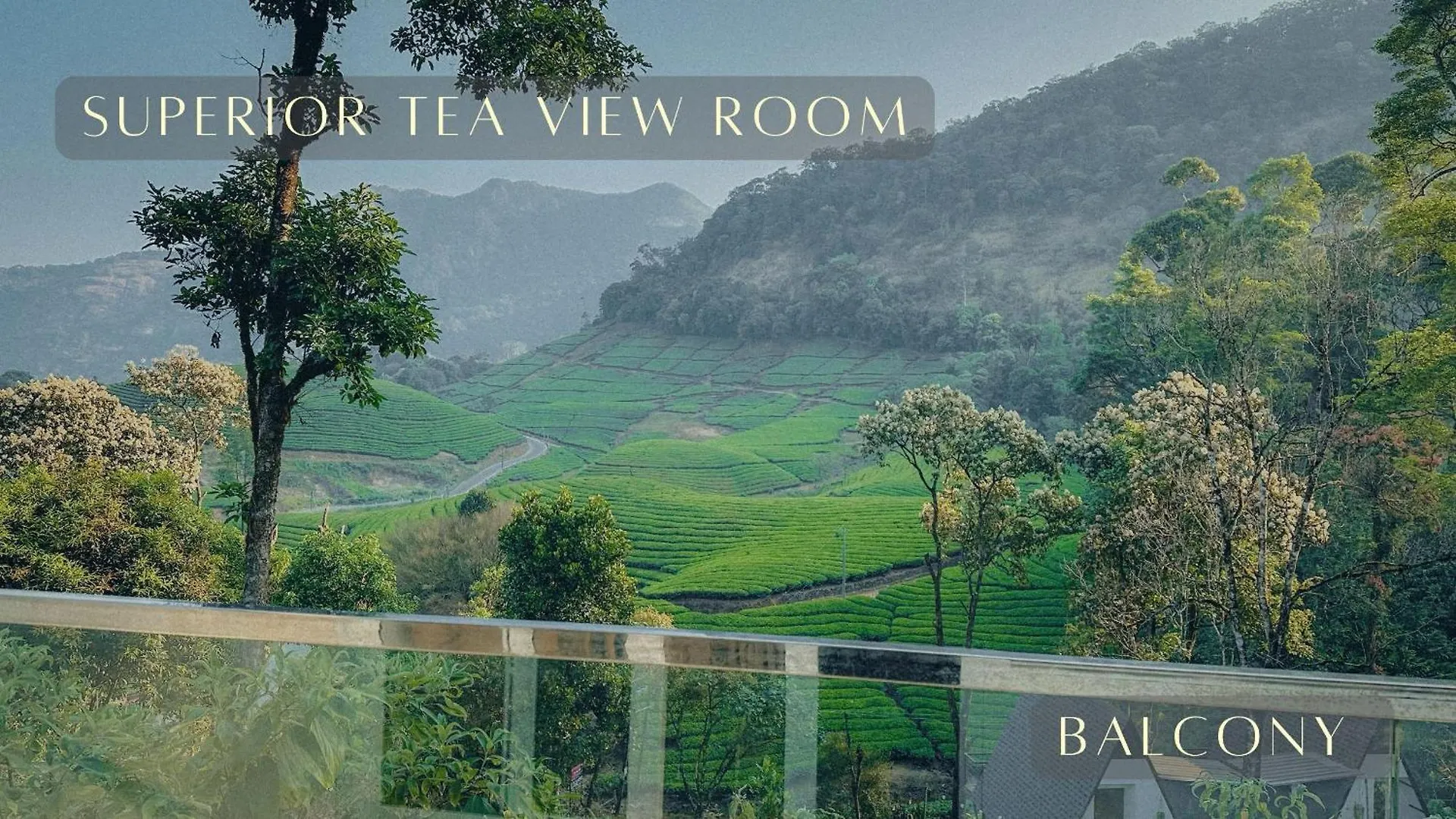 Forestscape Resort Munnar