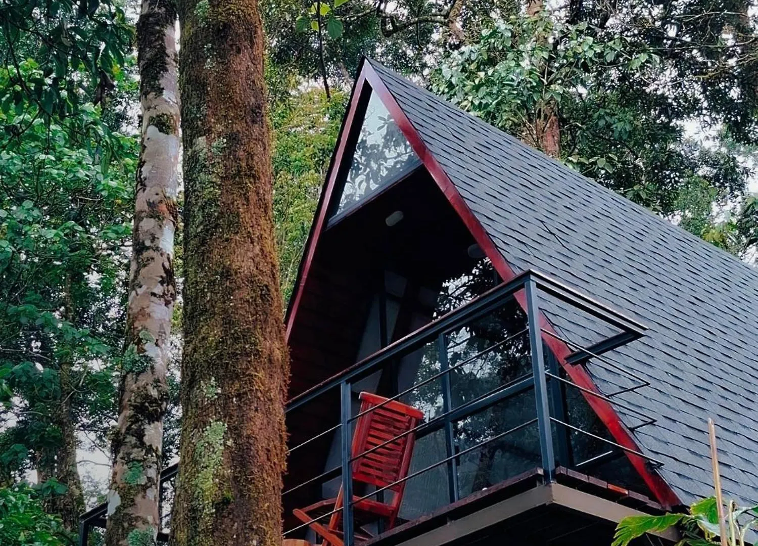 Forestscape Resort Munnar India