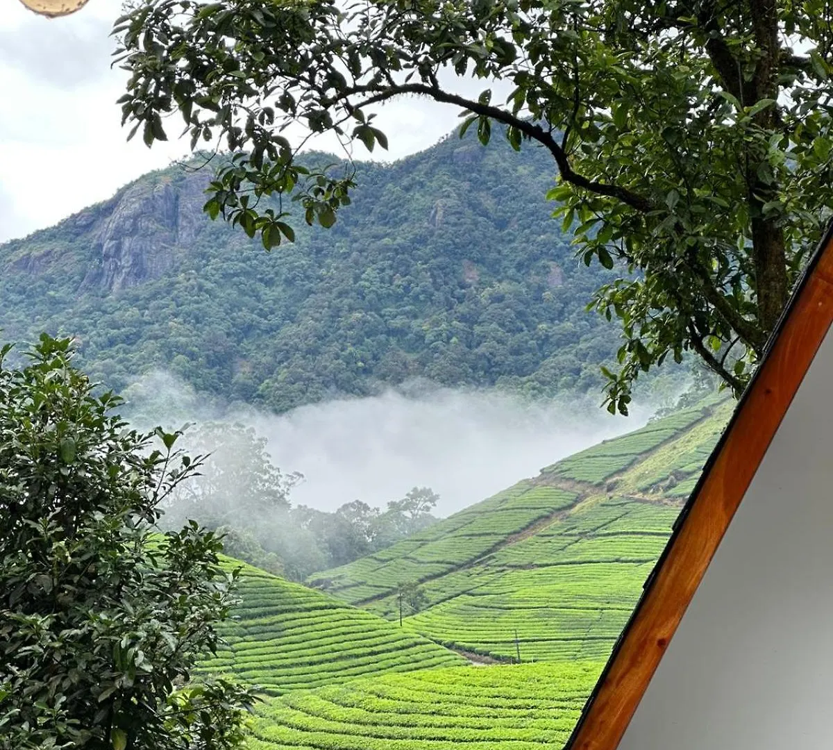 Forestscape Resort Munnar 0*,