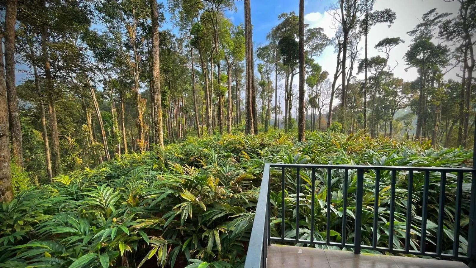Forestscape Resort Munnar
