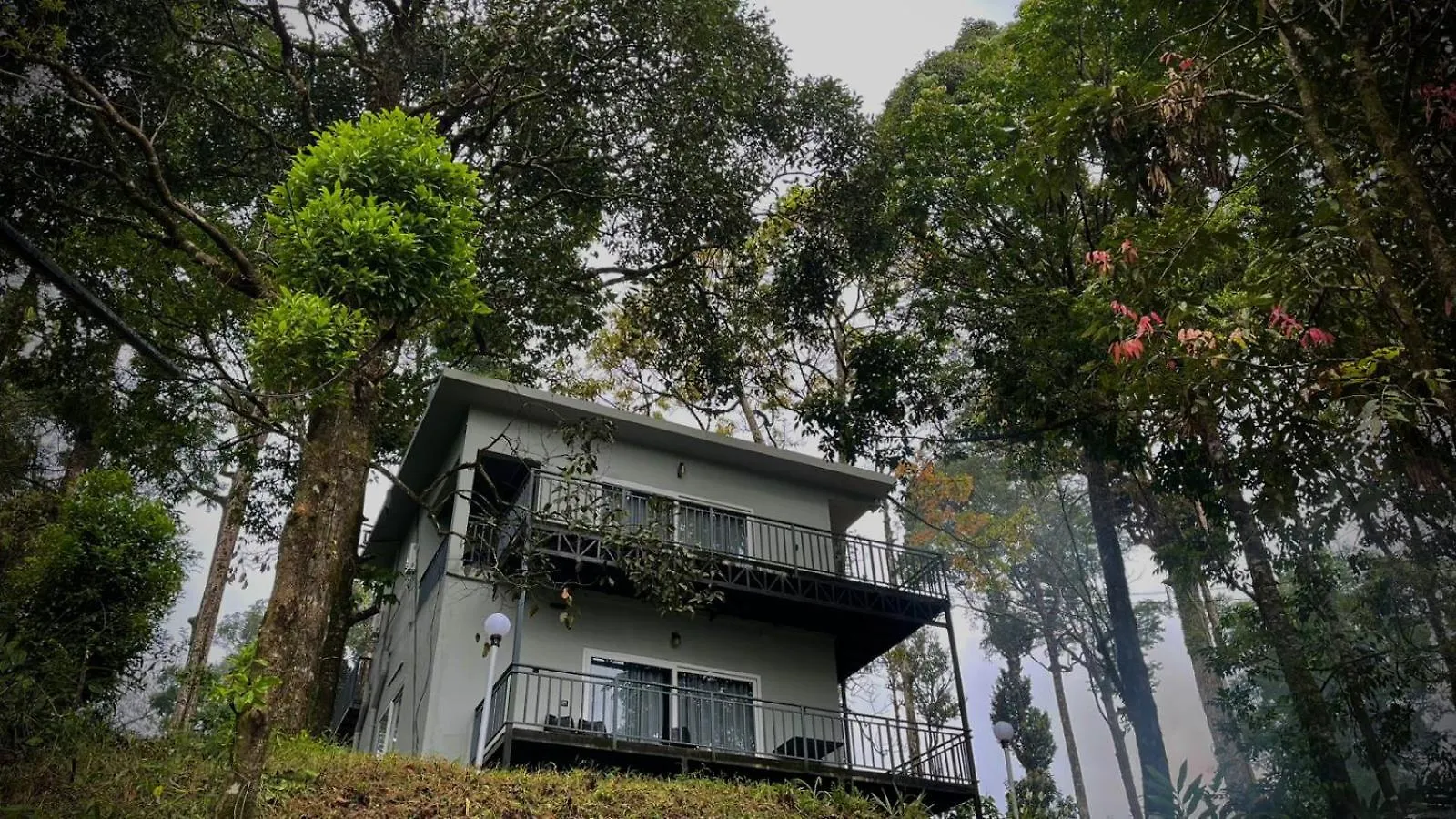 Forestscape Resort Munnar 0*,  India