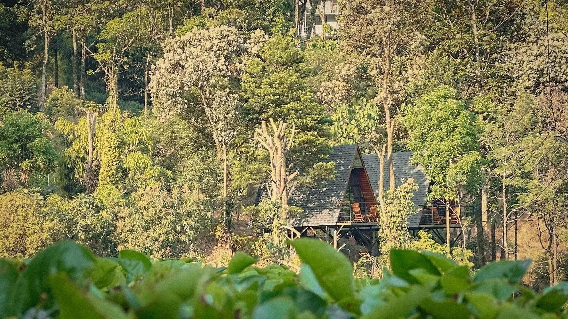 Forestscape Resort Munnar
