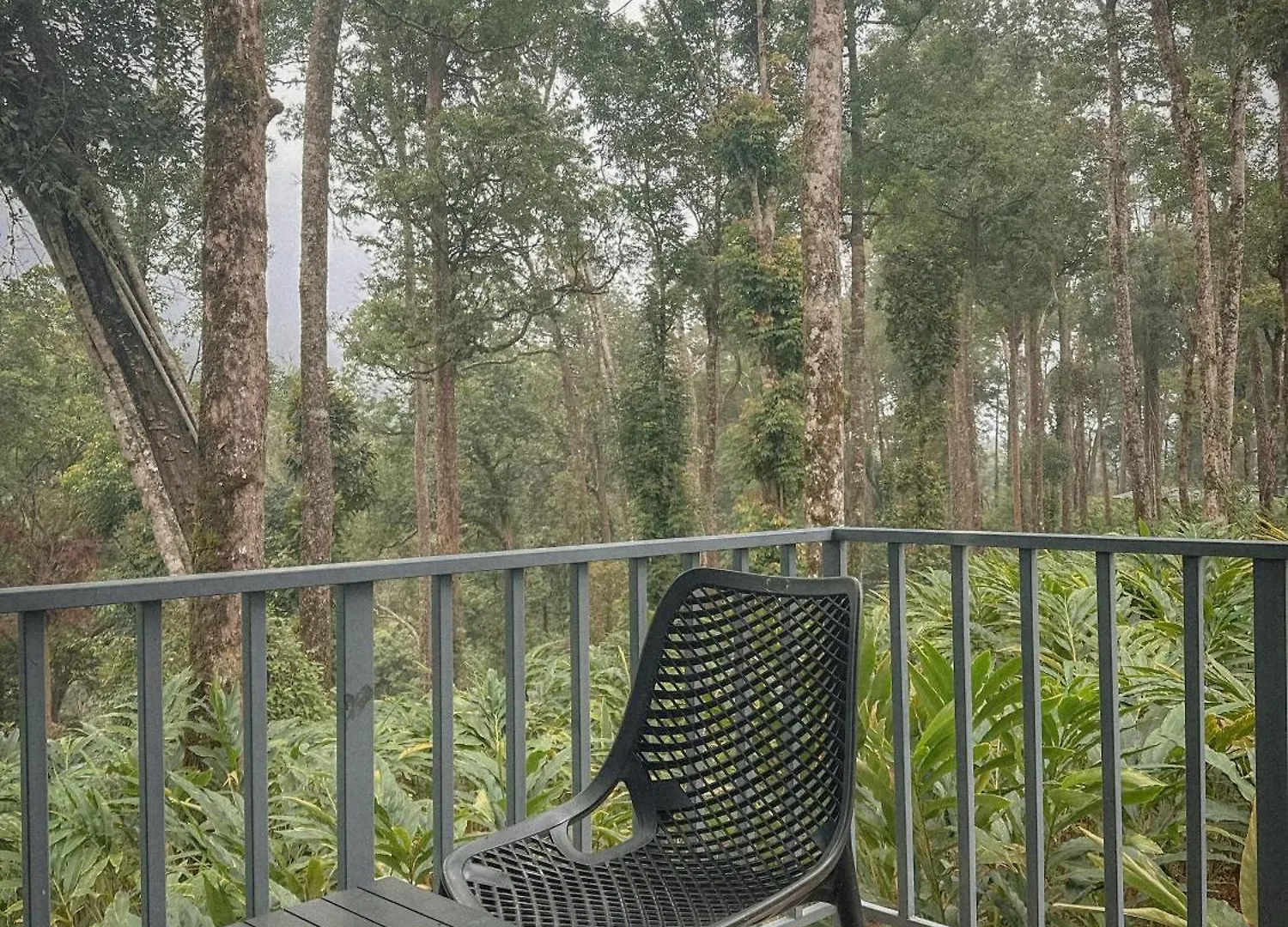 Forestscape Resort Munnar India