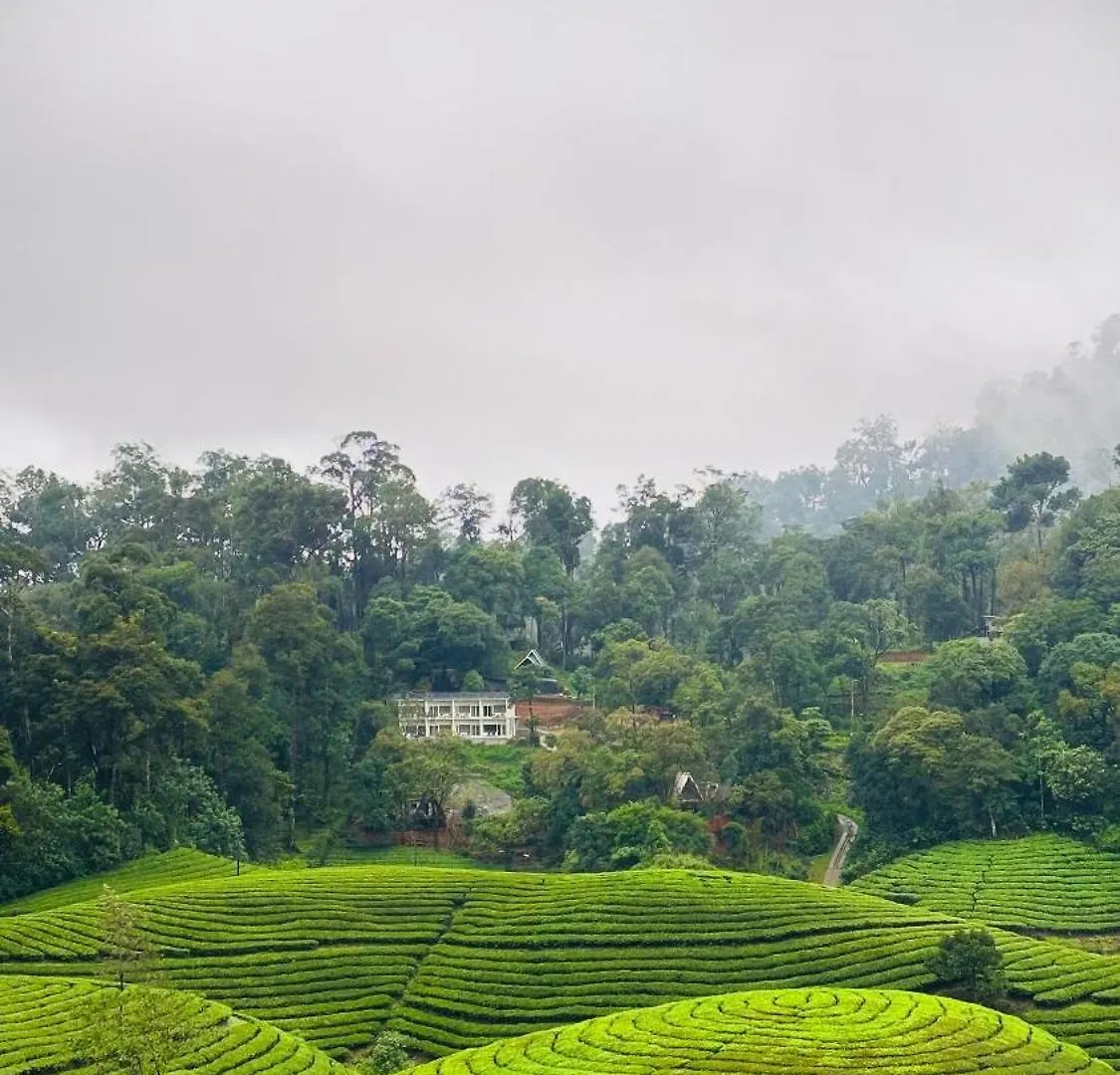 Forestscape Resort Munnar
