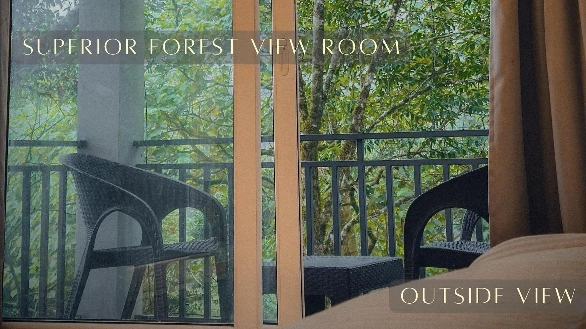 Forestscape Resort Munnar India