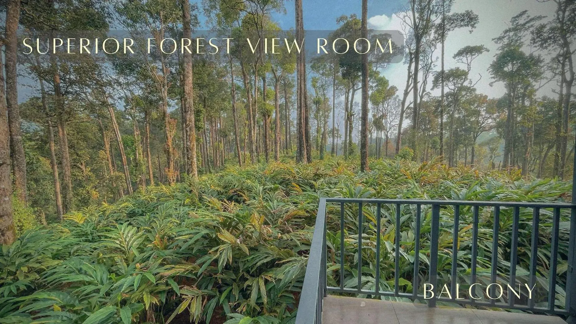 Forestscape Resort Munnar 0*,  India