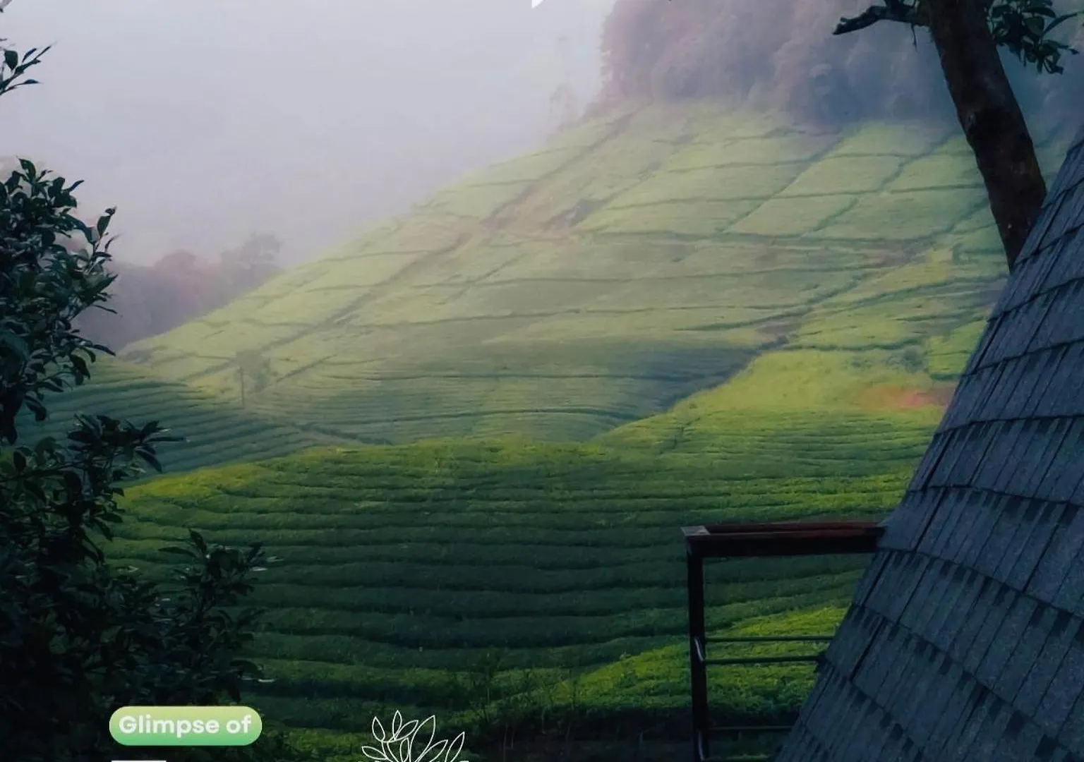 Forestscape Resort 蒙纳 印度