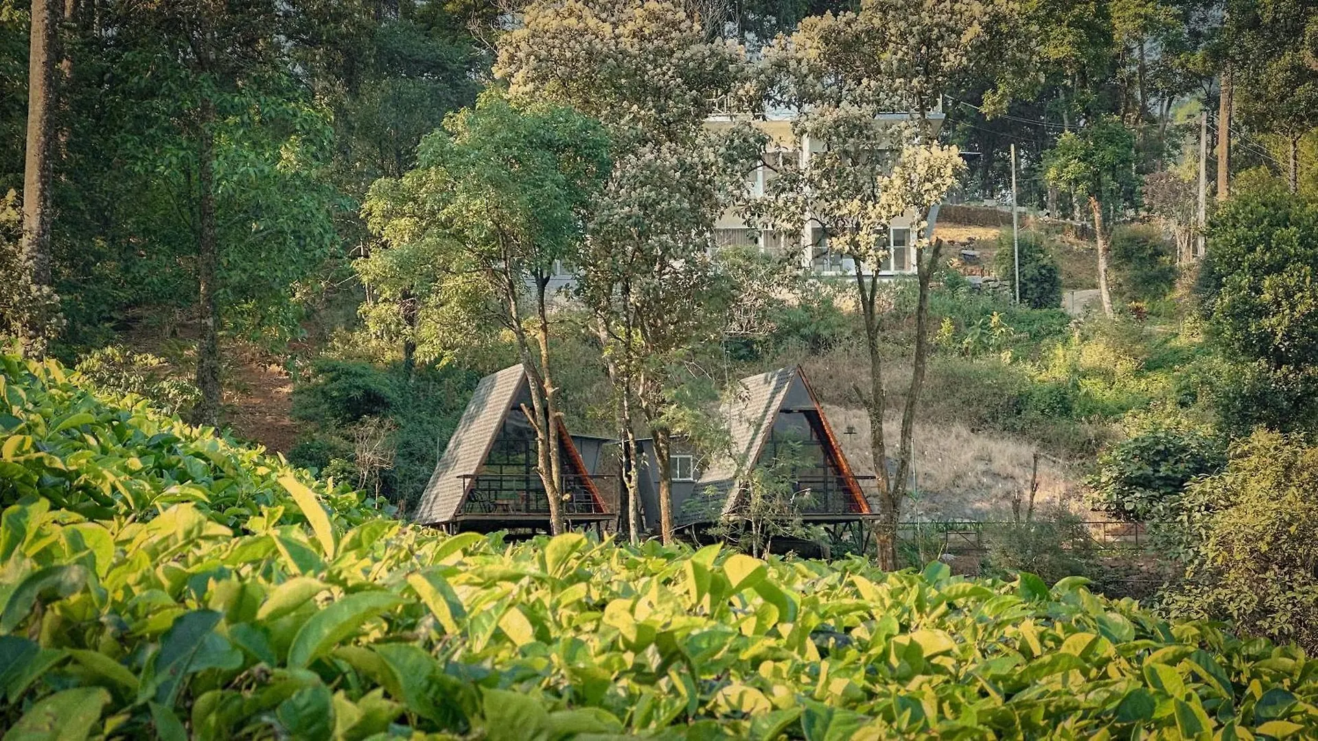 Forestscape Resort 蒙纳 印度