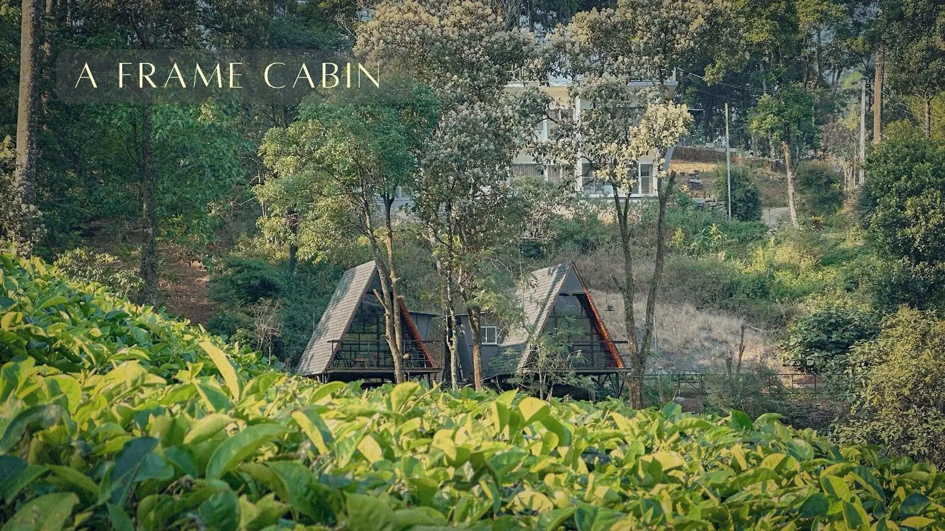 Forestscape Resort 蒙纳