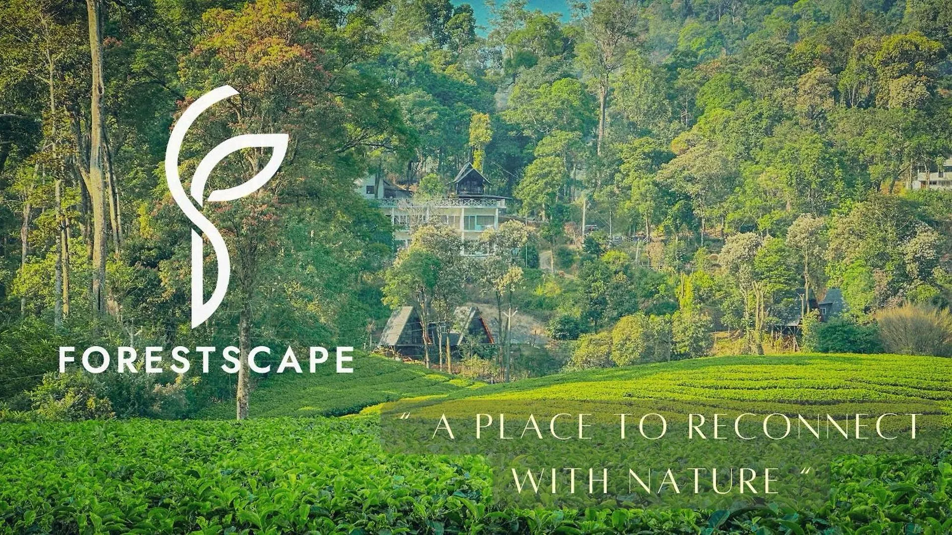 Forestscape Resort 蒙纳